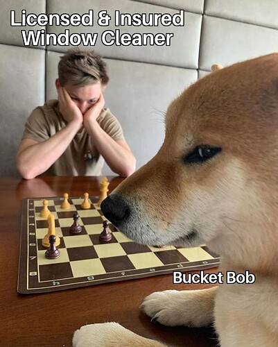 Doge Playing Chess 10022022074915