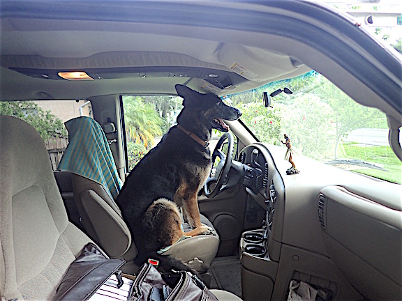 driving
