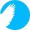 DoveDetail
