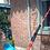 mrs_squeegee