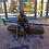 Phillip_Alexander1