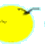 Splash